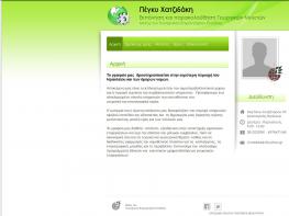 Custom CMS Website configuration - compliant with WCAG 2.0 - E-accessibility Meletespeggychatzidaki.eu - Custom website configuration - WCAG 2.0 Comformance / Compliance