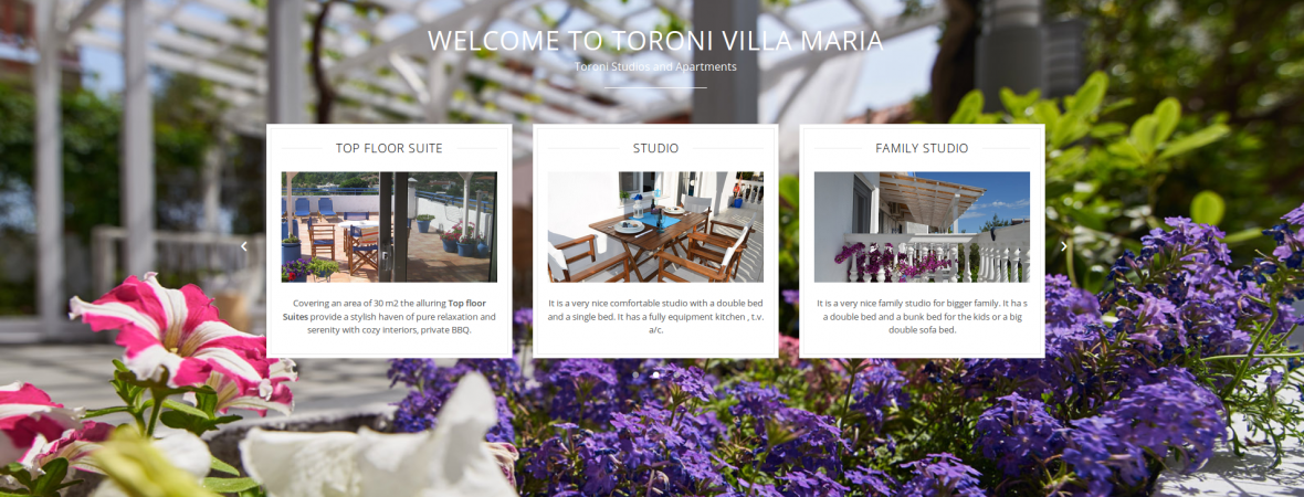 toroni-villamaria.com - Wordpress - Web page suitable and accessible to people with disabilities - WCAG comformance